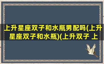 上升星座双子和水瓶男配吗(上升星座双子和水瓶)(上升双子 上升水瓶)